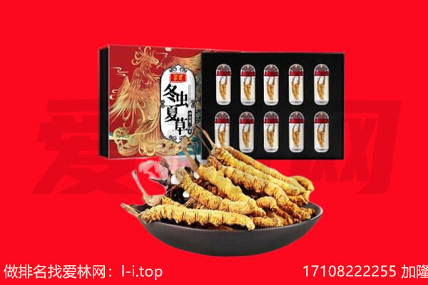 韶关乐昌市回收虫草.jpg